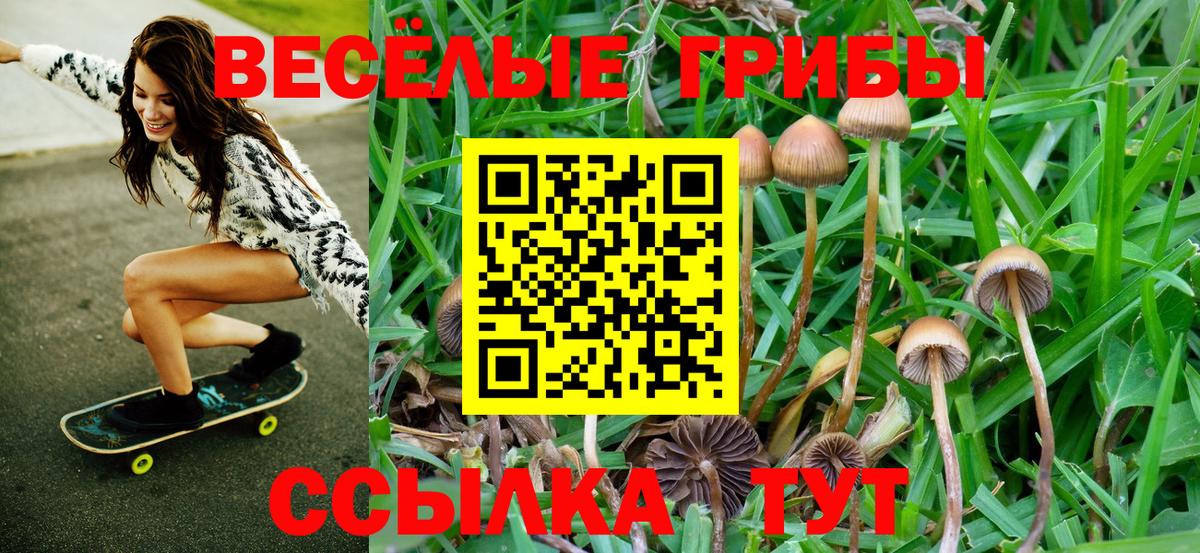 Печора  Галлюциногенные грибы ЛСД  купить наркотики цена  Псилоцибиновые грибы Cubensis  Вход с VPN 